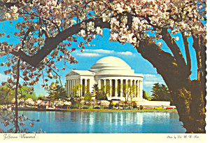 Washington Dc Jefferson Memorial Blossoms Postcard Cs0906