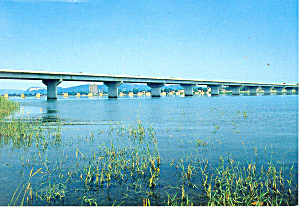 Veterans Bridge Sunbury Pa Postcard Cs0975