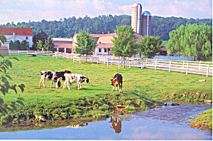 Amish Farm , PA, Postcard cs2214 (Image1)
