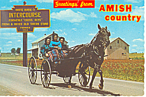 Amish Girls in Buggy, Intercourse,Pennsylvania cs2814 (Image1)