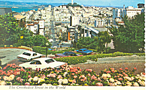Lombard Street San Francisco CA cs3260 (Image1)