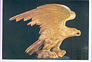 American Eagle Painted Pine Postcard Cs3308