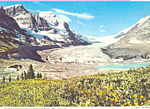 Athabasca Glacier Jasper National Park Alberta Canada Cs4382