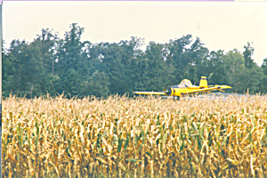 Crop Duster In Low Level Flight Cs4531