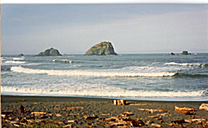 Coastal Scene Postcard cs4830 (Image1)