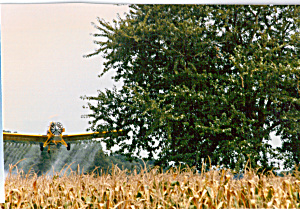 Crop Duster Cs4840