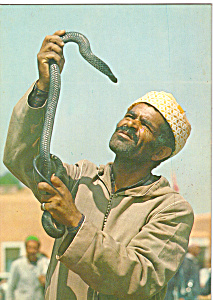 Marrakech Charmeurs de Serpents Snakes Postcard cs5106 (Image1)