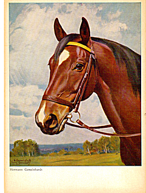 Hermann Gemeinhardt vor dem Austritt Horse ostcard cs5672 (Image1)