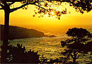 A Maine Seascape Postcard cs6424 (Image1)