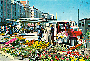View Of The Flower Market Bergen Norway Cs6621