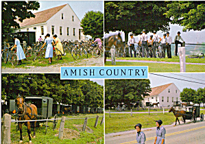 Views of Mennonites,Buggys Postcard cs7129 (Image1)