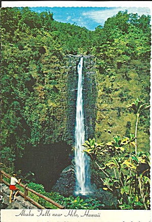 Hilo Hawaii Akaka Falls Postcard Cs9424
