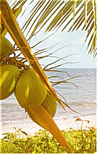 Beaches of  St Thomas VI Postcard n0158 (Image1)
