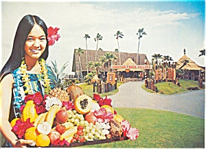 Hawaiian Punch Postcard N0233
