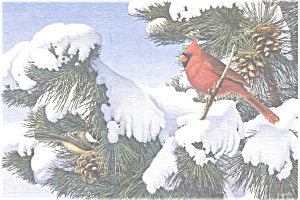 Cardinal and Chickadee  Postcard n0589 (Image1)