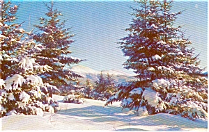 Morrisville PA Winter Wonderland Postcard p0871 (Image1)