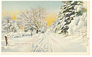 Burlington Vt Winter Snow Scene Postcard P10591
