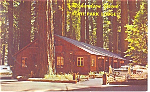 Richardson Grove State Park Redwoods Ca Postcard P10934 1959