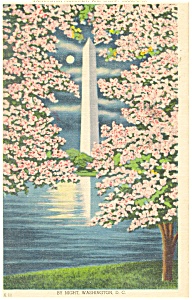 Washington DC Washington Monument  Postcard p11182 1951 (Image1)