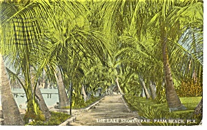 Palm Beach Fl Lake Shore Trail Postcard P11534 1912