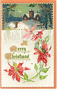 Christmas Postcard Poinsettia Tucks Postcard P11606 1911