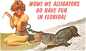 Florida Alligator And Bathing Beauty Postcard P1162