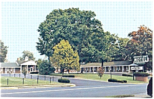 Old Kentucky Home Motel Postcard P11650