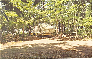 Ricketts Glen State Park Pa Postcard P12700