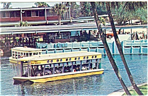 Silver Springs FL Glass Bottom Boats Postcard p12810 1966 (Image1)