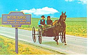 Intercourse, PA Amish Courting Buggy Postcard p12894 (Image1)