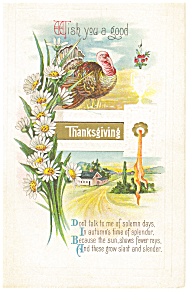 Wish you a Good Thanksgiving Postcard p13594 (Image1)