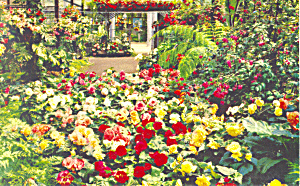 Balboa Park San Diego CA Postcard p14866 (Image1)