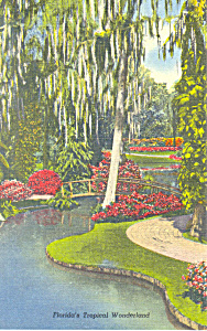 Cypress Gardens  FL  Rustic Bridges Postcard p14900 (Image1)