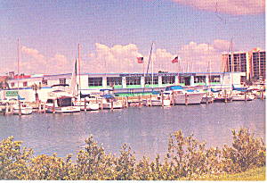 Clearwater Marine Science Center Fl Postcard P14973