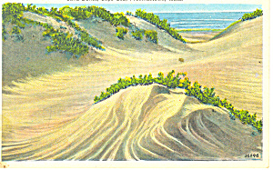 Sand Dunes Provincetown MA Postcard p15221 (Image1)
