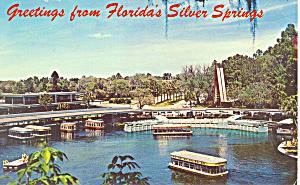Glass Bottom Boats Silver Springs Fl Postcard P16231