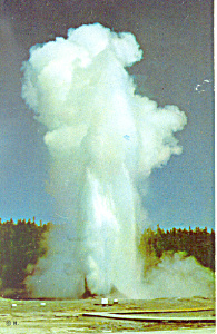 Giant Geyser Yellowstone National Park Wy Postcard P16543