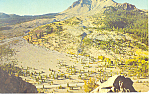 Devastated Area Lassen National Park CA Postcard p18654 (Image1)