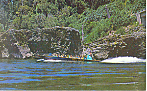 Rogue River Jackson County Oregon Postcard p19089 1972 (Image1)