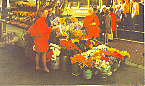 Flower Stand Cable Car San Francisco California P19772