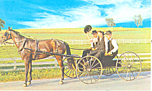 Amish Courting Buggy Postcard P19976