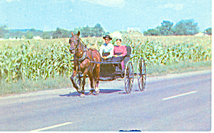 Amish Courting Buggy Postcard P19977