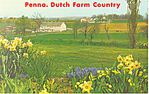 Amish Farm Scene Postcard P19996