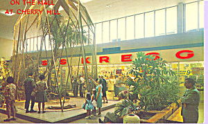 SS Kresgge Cherry Hill Shopping Center New Jersey p21688 (Image1)