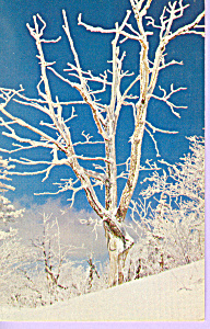 Typical Winter Scene In Vermont P22073