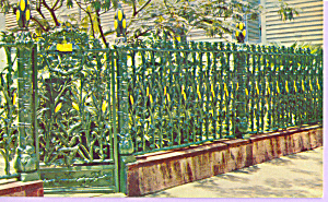Cornstalk Fence Royal Street New Orleans La P22662