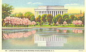 Lincoln Memorial And Cherry Blossoms Washington Dc P22863