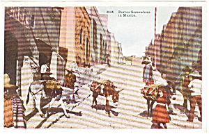 Burros in Mexico Postcard p2397 (Image1)