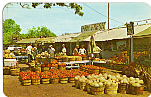 Fruit Market Southwestern Michigan Postcard p24545 (Image1)
