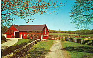 Down On The Farm Barn Scene Postcard P24975